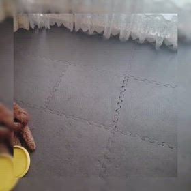 フリスビードッグ♡の画像