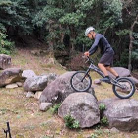 進化の過程を楽しもう❗️の画像