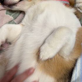 元気がなにより♡♡の画像