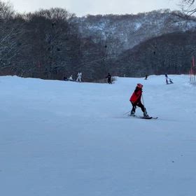 スキーの様子3の画像