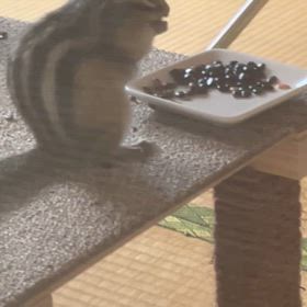 超能力者オーちゃん️の画像