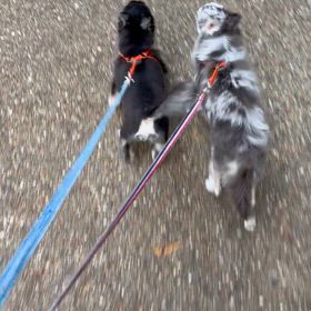 や〜めた❗️の画像