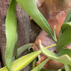 夏真っ盛りの画像