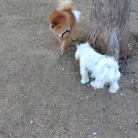 １２月8日日曜日の画像