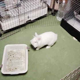 今日のにしろ君の画像