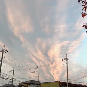 秋の雲綺麗ですね。の画像