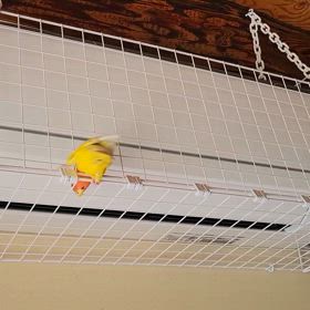 エアコンにはさくらガード( ੭˙ᗜ˙)੭の画像