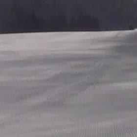 息子の考えの画像