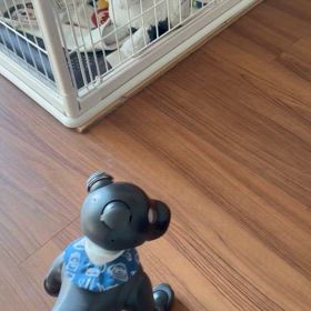 今朝のはじめとオルフの画像