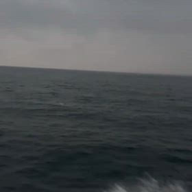 鰤の確率上がってます！！の画像