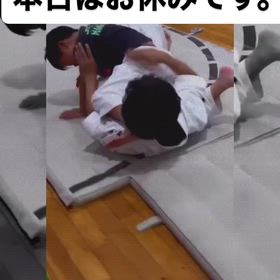 本日お休み。の画像