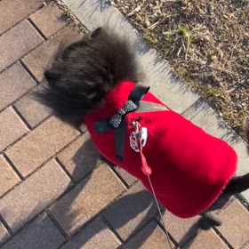 2025年2月14日 バレンタインの画像