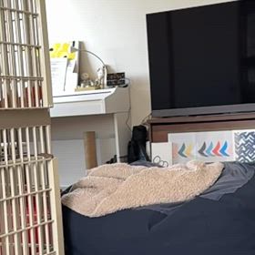 ジャンプの画像