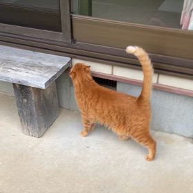 2024/07/20今週のハナの画像