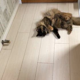 現実逃避の画像