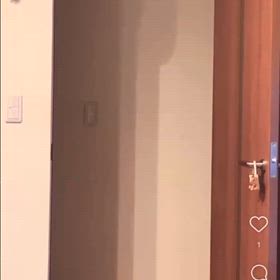 「忙しい。忙しい」動画の画像