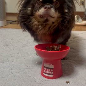 そうだった！の画像