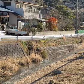 越生駅伝（3.4年男子の部動画）①の画像