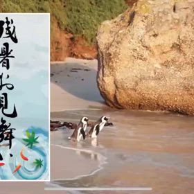 金曜日散歩〜⭐️✨☺️✨の画像