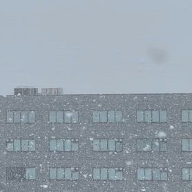 何年ぶりか…の画像