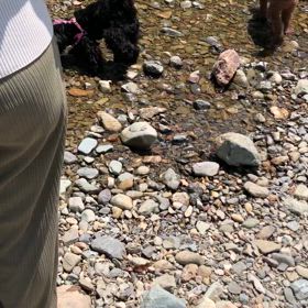 おかげ横丁の画像