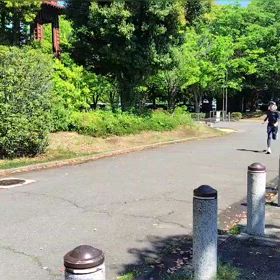 4/29 1500m（ゴール）②の画像