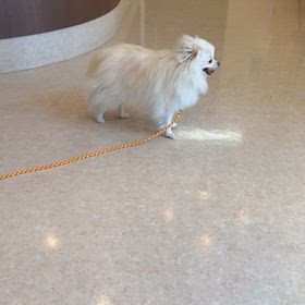 今日は調整の画像