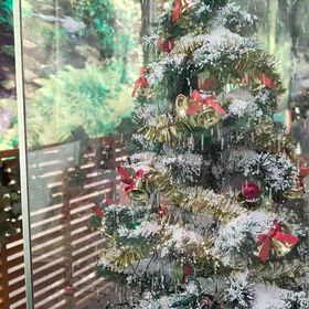 クリスマスツリー　の画像