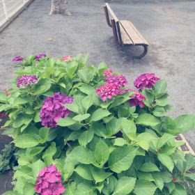 ただただ、いるだけで良い✨存在しているだけではなまる◎の画像