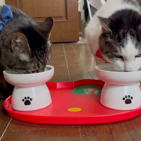 おりこうちゃんたちの画像