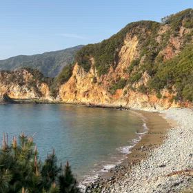 管理人、癒され中‼️の画像