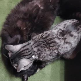 そして、、の画像