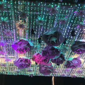 横浜西口の地味〜なイルミネーション＆みなとみらいのプロジェクションマッピングの画像