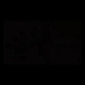 どれみふぁTime♬の画像