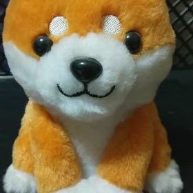 笑顔にしてくれるイヌの画像