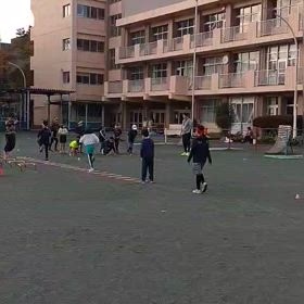 11/16 ダッシュの場⑤の画像