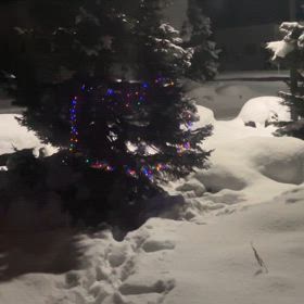 クリスマスの画像