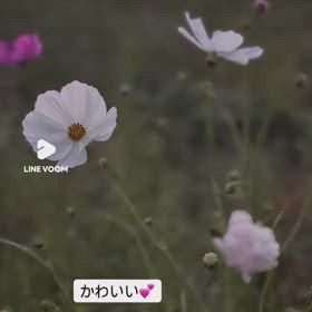 秋を感じて&オンライン講座の画像