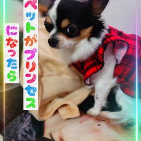 我が家のプリンセスの画像