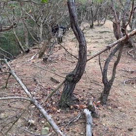 勢子の現実って、こんなもんの画像