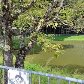 2025.9.19(金)の画像