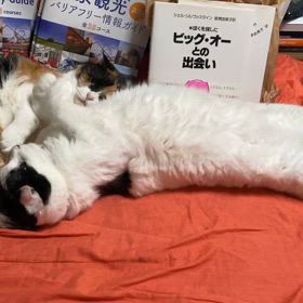 チャームポイント？の画像