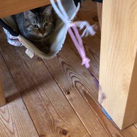 不調に対応していくの画像