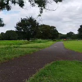 ハイレベ練習（300インターバル）①の画像