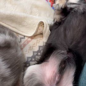 こんな時間の画像