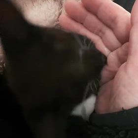 指吸いされる特別感♡の画像