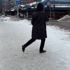 鳥と友達になりたいおばさんの画像