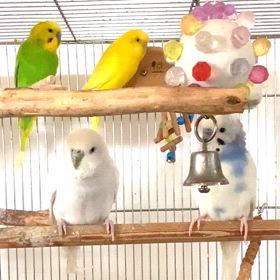 仲良しカップル？の画像