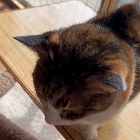 萌ママの近況の画像