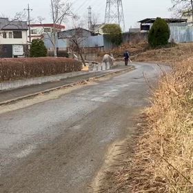 駅伝コース前半（公園前）⑬の画像